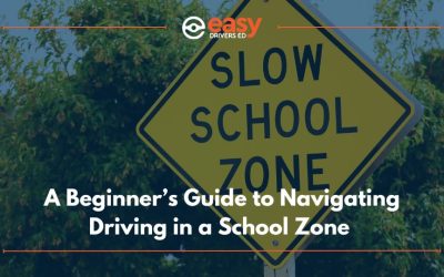 A Beginner’s Guide to Navigating Driving in a School Zone